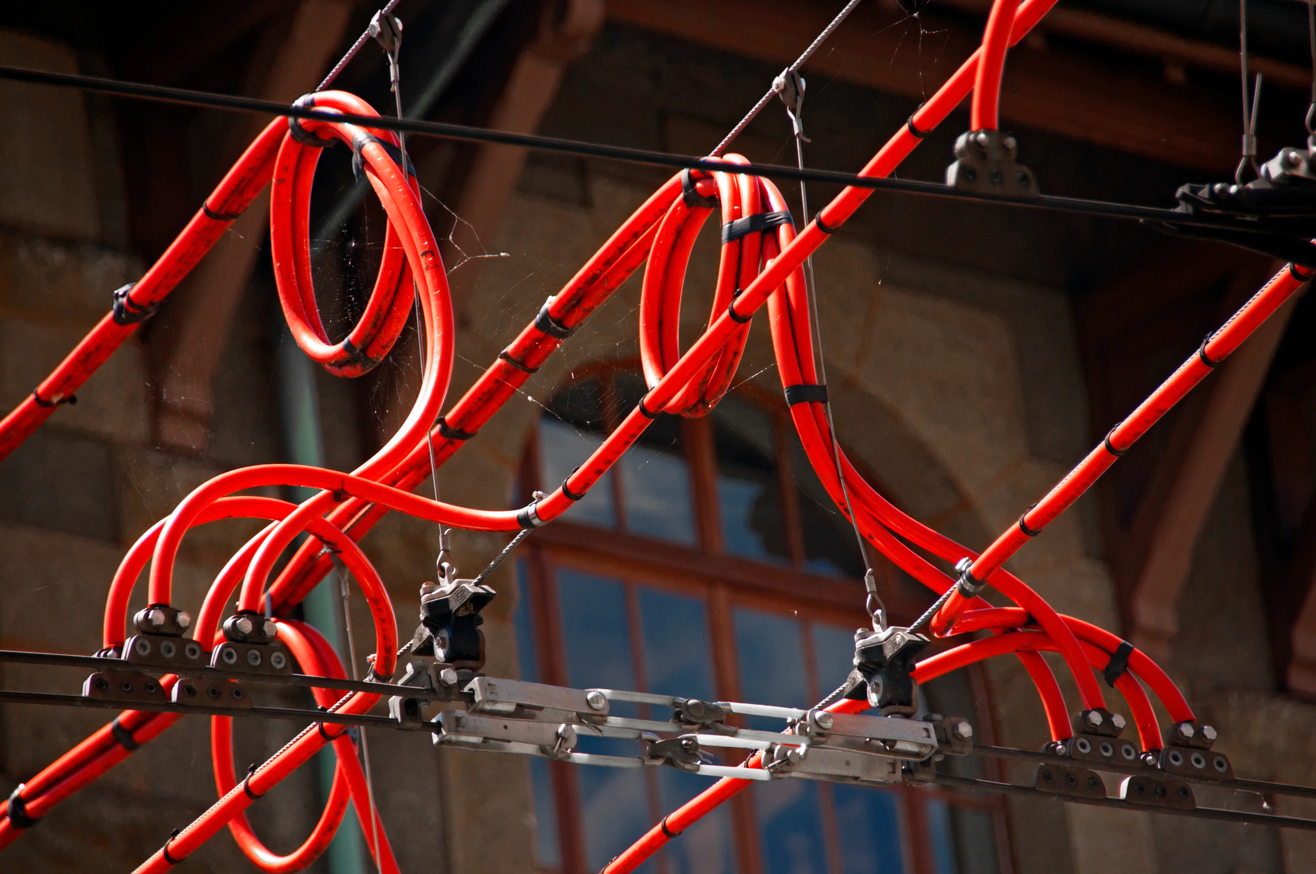 Specialty and traction cables